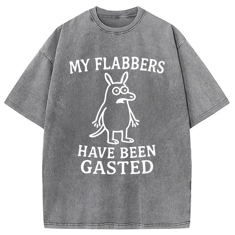 Modecanvas My Flabbers Have Been Gasted Funny Meme DTG Printing Washed T-Shirt-modecanvas