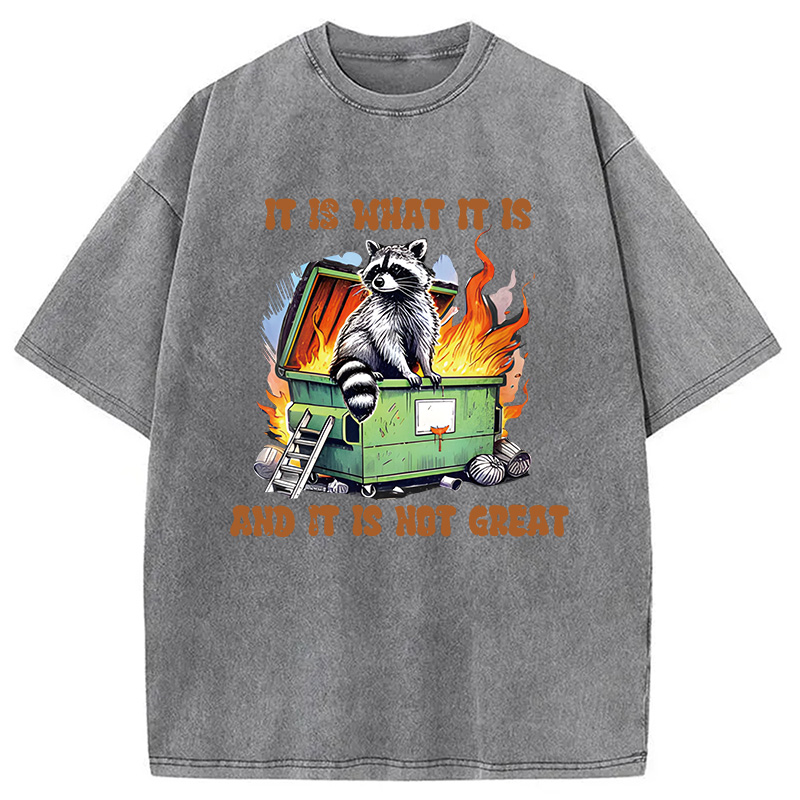 Modecanvas It is What Not Great Raccoon Meme DTG Printing Washed T-Shirt
