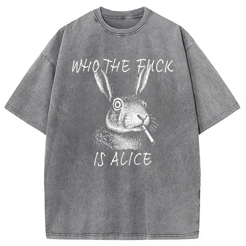 Modecanvas Who The Fck Is Alice Meme DTG Printing Washed T-Shirt