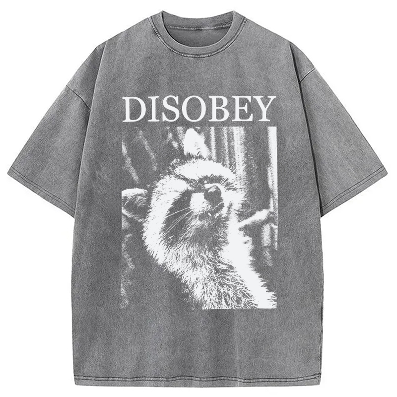 Modecanvas Disobey Raccoon DTG Printing Washed T-Shirt