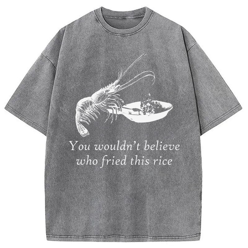 Modecanvas Shrimp Fried Rice DTG Printing Washed T-Shirt