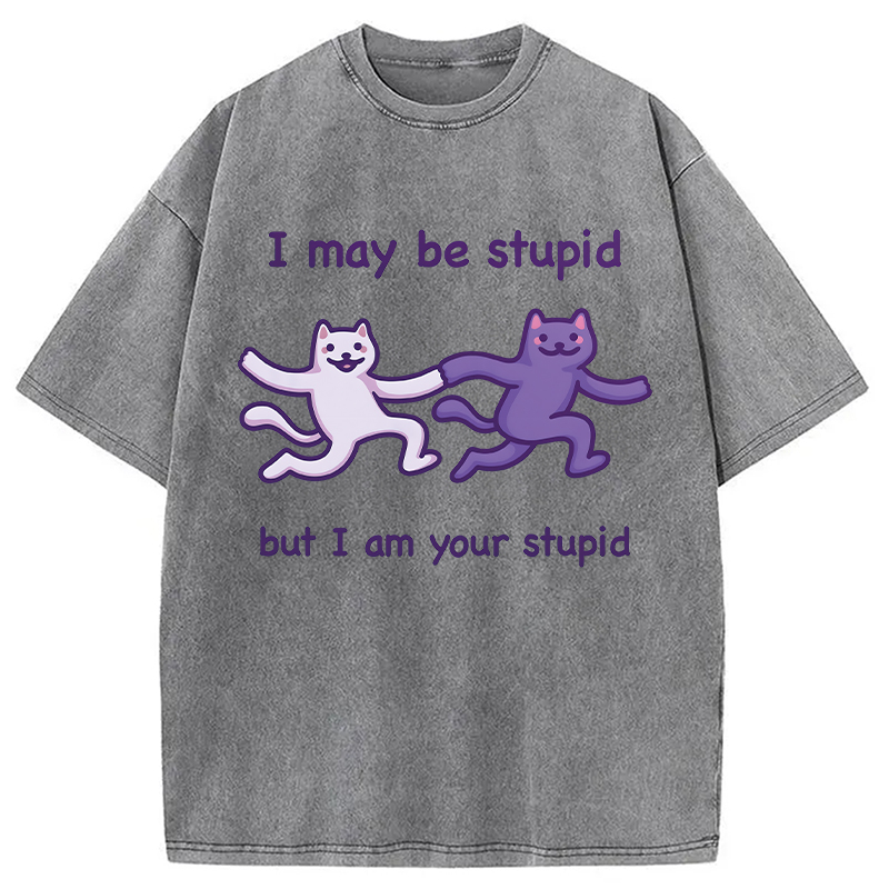 Modecanvas I Am Your Stupid DTG Printing Washed T-Shirt