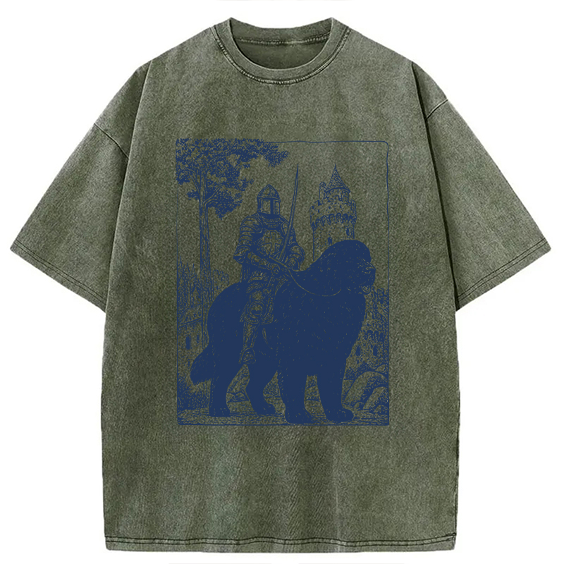Modecanvas Knight Newfoundland Rider Vintage DTG Printing Washed T-Shirt