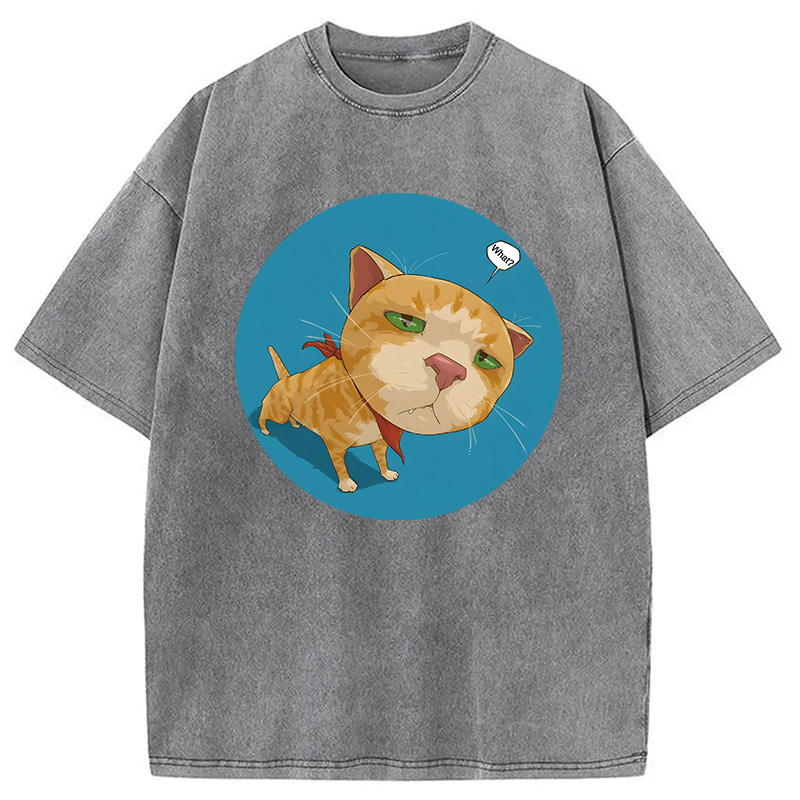 Modecanvas Confusing Cat DTG Printing Washed T-Shirt