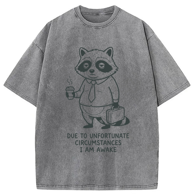 Modecanvas Grumpy Raccoon Morning DTG Printing Washed T-Shirt