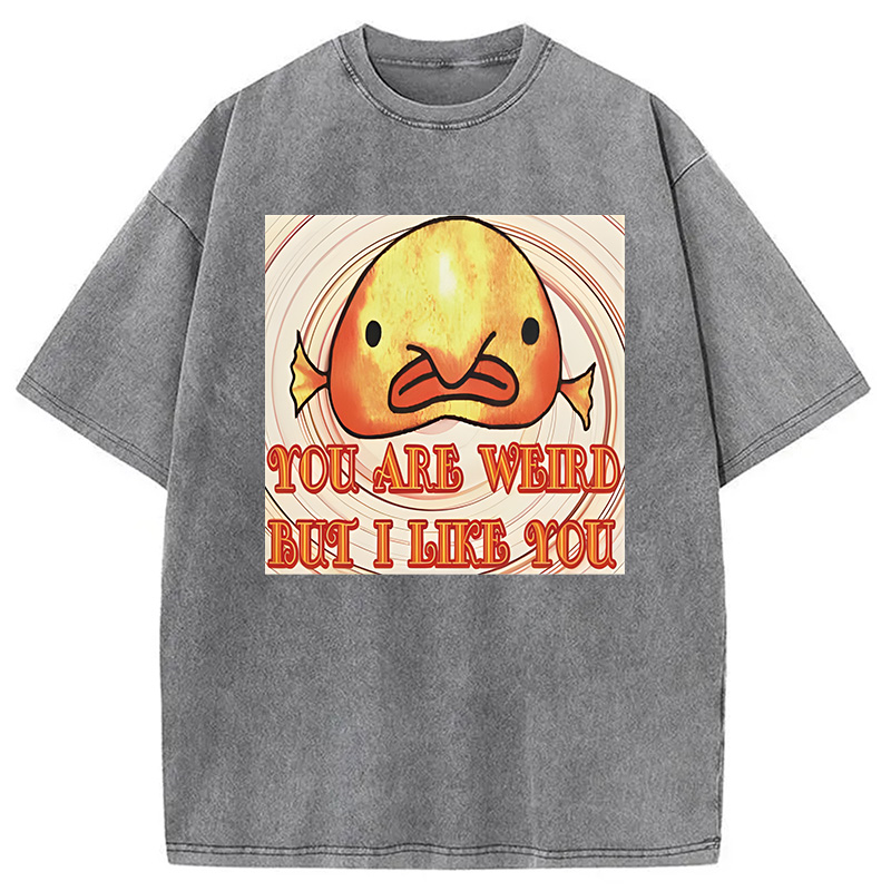 Modecanvas Odly Adorable Fish Meme DTG Printing Washed T-Shirt
