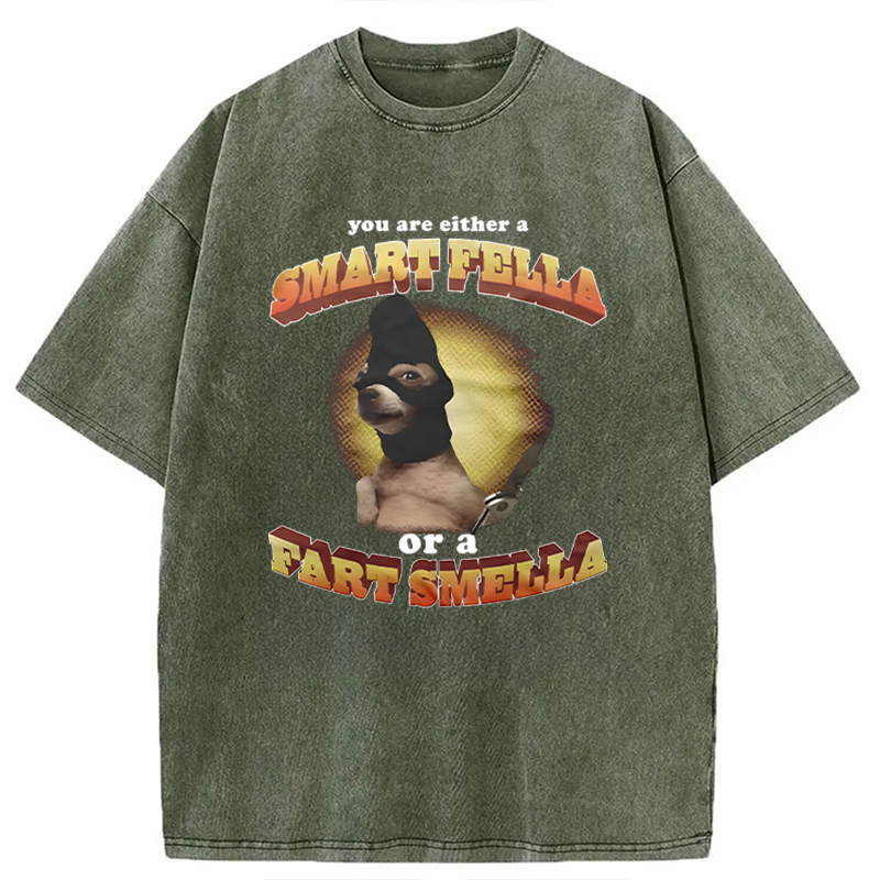 Modecanvas You Are Either A Smart Fella Or A Fart Smella Funny Meme DTG Printing Washed T-Shirt