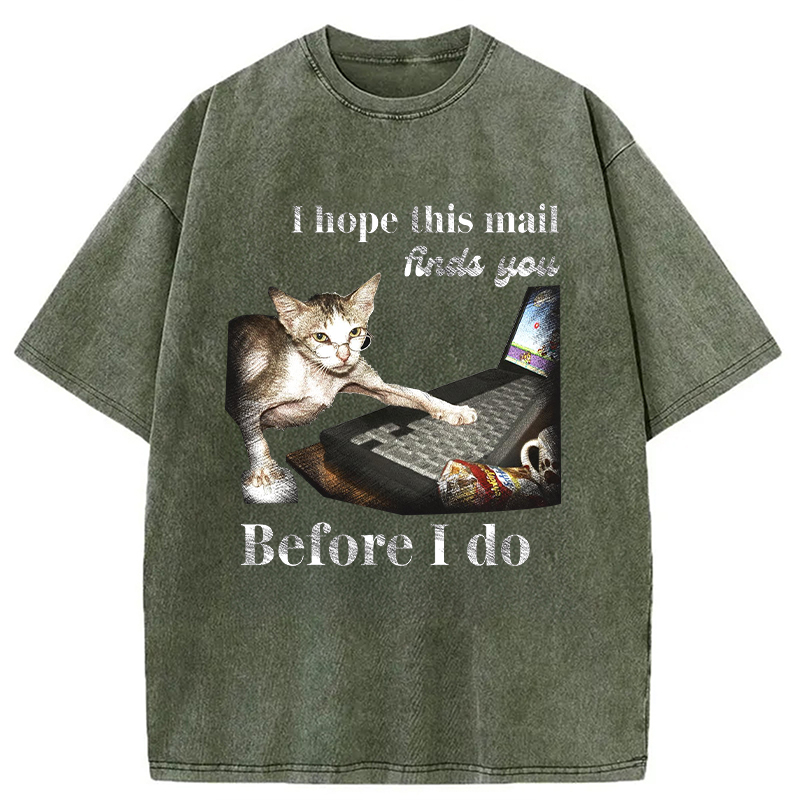 Modecanvas Funny Send Mail Cat Meme DTG Printing Washed T-Shirt