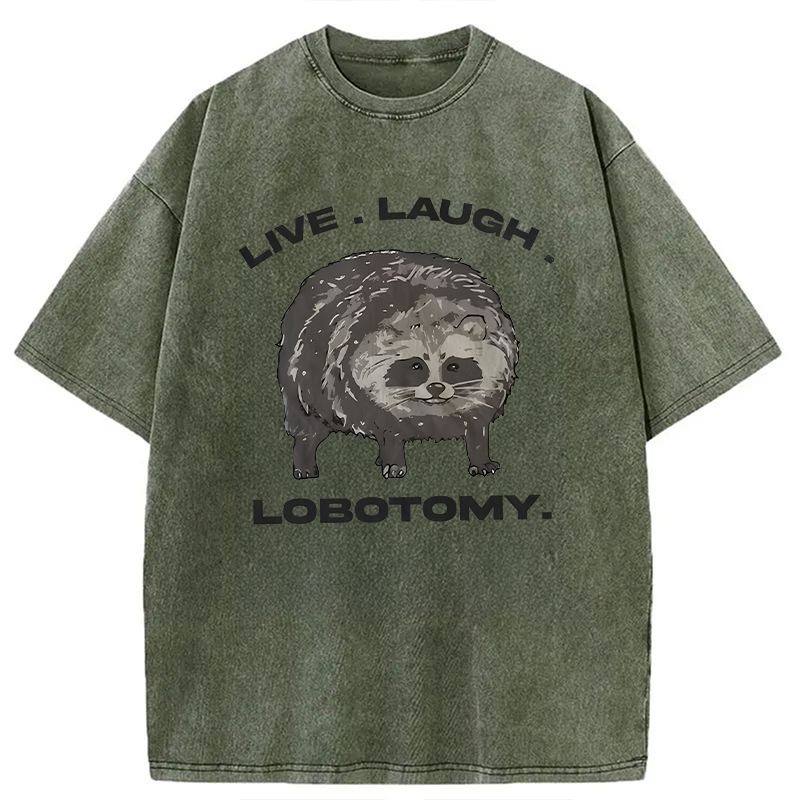 Modecanvas Live Laugh Lobotomy Funny Dolphin Meme DTG Printing Washed T-Shirt