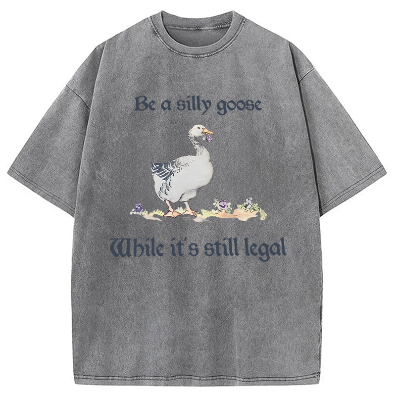 Modecanvas Be A Silly Goose DTG Printing Washed T-Shirt