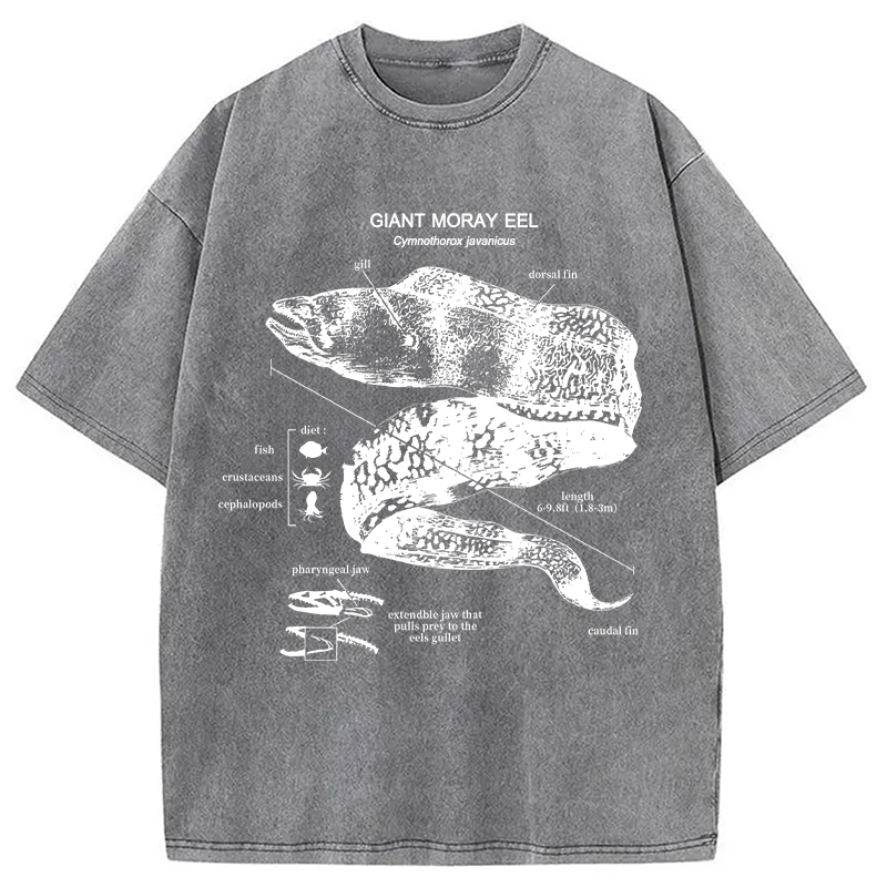 Modecanvas Moray Eel Anatomy Vintage DTG Printing Washed T-Shirt
