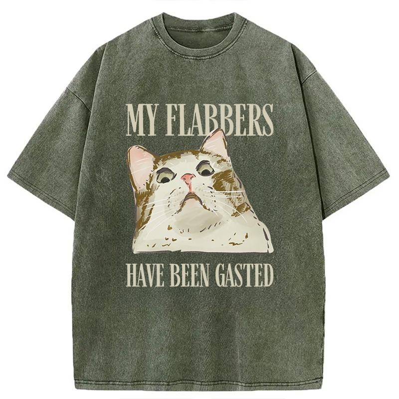 Modecanvas My Flabbers Have Been Gasted Cat Meme DTG Printing Washed T-Shirt