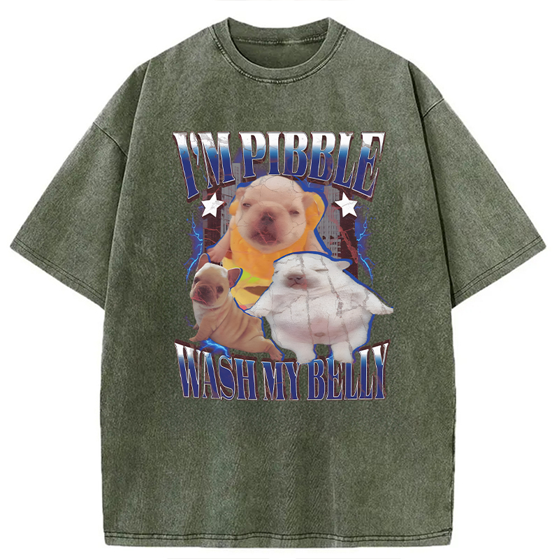 Modecanvas Everything is illegal DTG Printing Washed T-Shirt