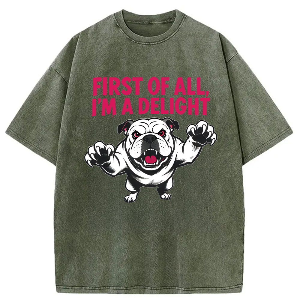 Modecanvas Fierce Bulldog Delight DTG Printing Washed T-Shirt