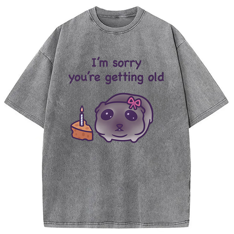 Modecanvas Sad Hamster Birthday Meme DTG Printing Washed T-Shirt