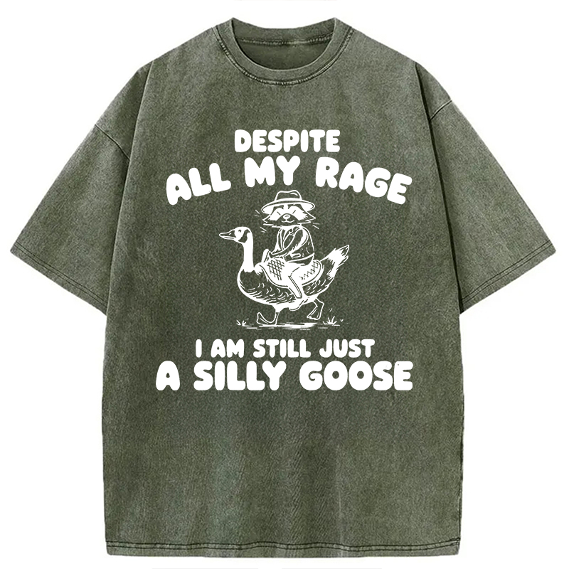 Modecanvas A Silly Goose DTG Printing Washed T-Shirt