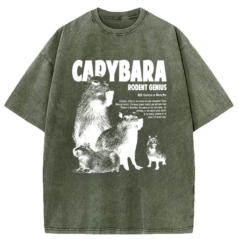 Modecanvas Capybara Vintage DTG Printing Washed T-Shirt