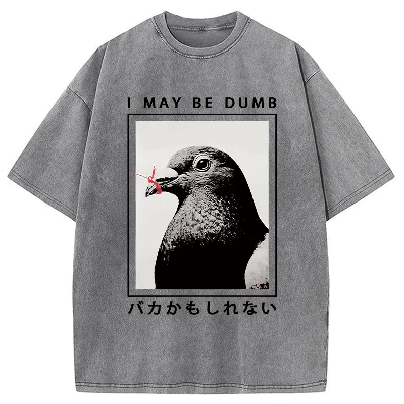 Modecanvas I May Be Dumb Funny Washed T-Shirt-modecanvas