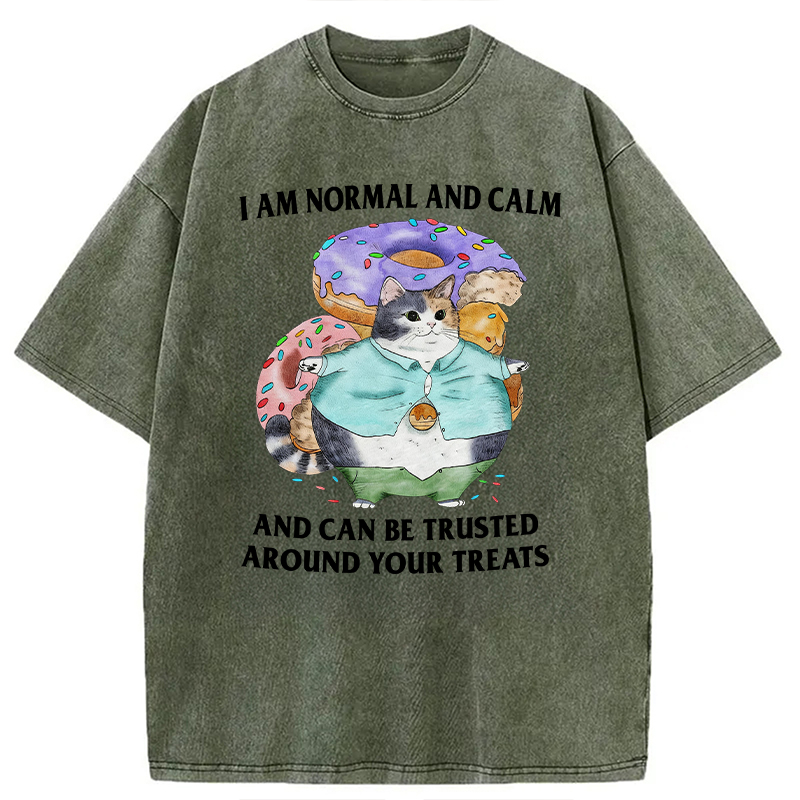 Modecanvas I Can Be Trusted Around Your Treats DTG Printing Washed T-Shirt