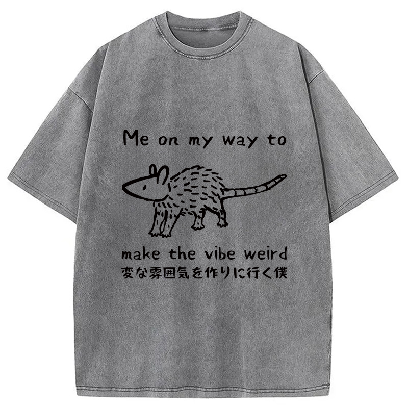 Modecanvas Making The Vibe Weird Washed T-Shirt