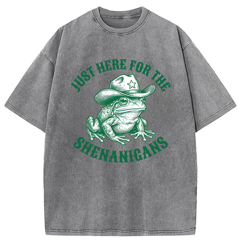 Modecanvas Just Here for the Shenanigans Frog DTG Printing Washed T-Shirt
