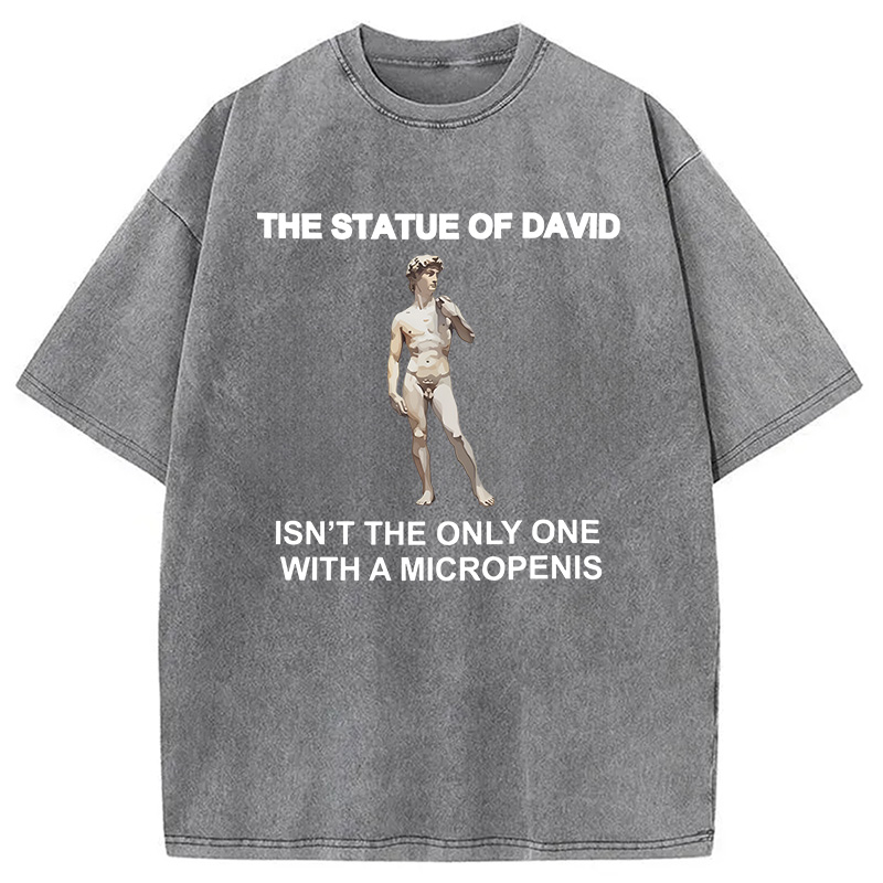 Modecanvas The Statue Of David Meme DTG Printing Washed T-Shirt
