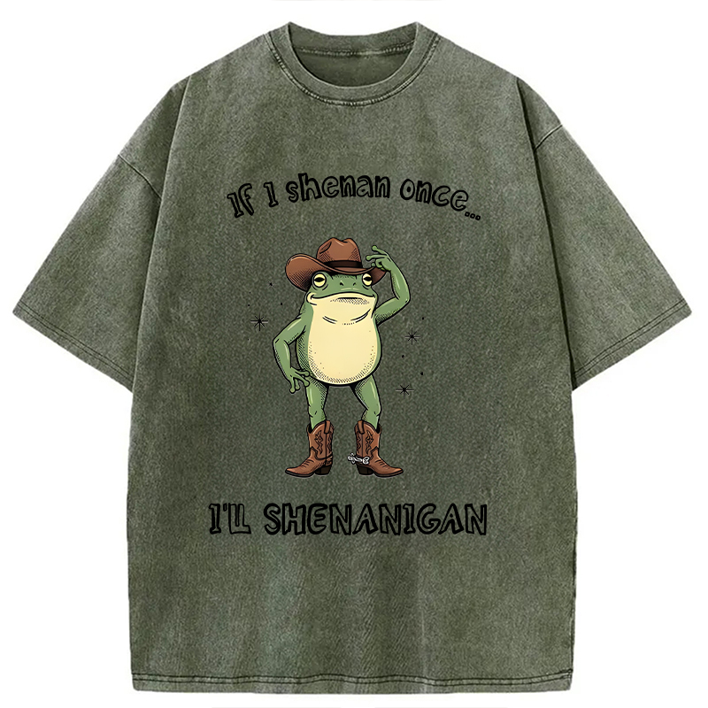 Modecanvas I ll Shenanigan Frog DTG Printing Washed T-Shirt