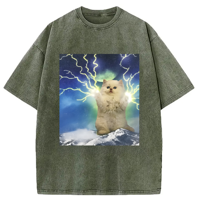 Modecanvas Lightning Cat DTG Printing Washed T-Shirt