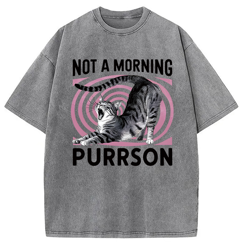 Modecanvas Not A Morning Purrrson Cat DTG Printing Washed T-Shirt