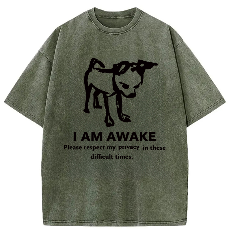 Modecanvas Silly Dog Privacy Meme DTG Printing Washed T-Shirt