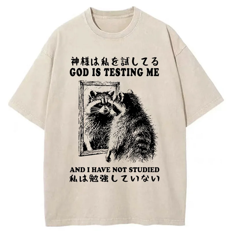 Modecanvas Raccoon Not Studied Washed T-Shirt