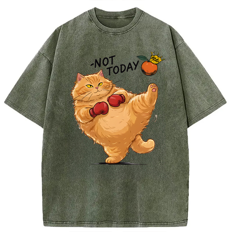 Modecanvas Boxing Cat DTG Printing Washed T-Shirt