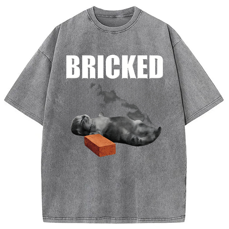 Modecanvas Bricked Funny Cat Knocked Out DTG Printing Washed T-Shirt