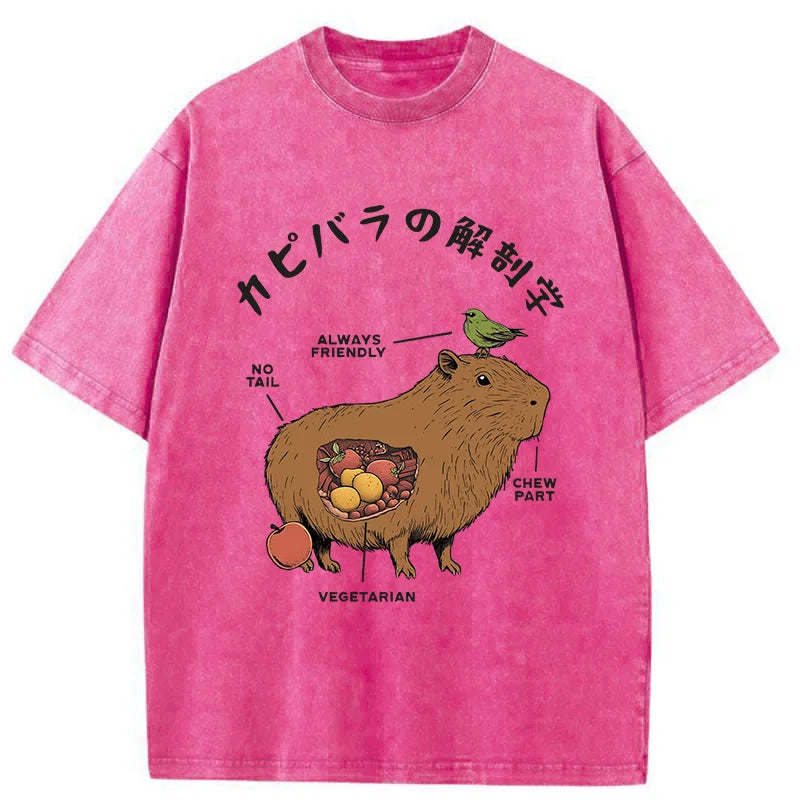 Modecanvas Capybara Anatomy Washed T-Shirt
