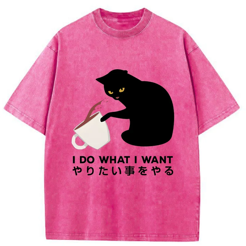 Modecanvas Tsundere Cat Funny Washed T-Shirt