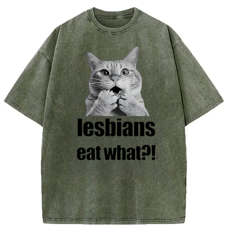 Modecanvas Lesbians Eat What? Funny Gay Joke DTG Printing Washed T-Shirt