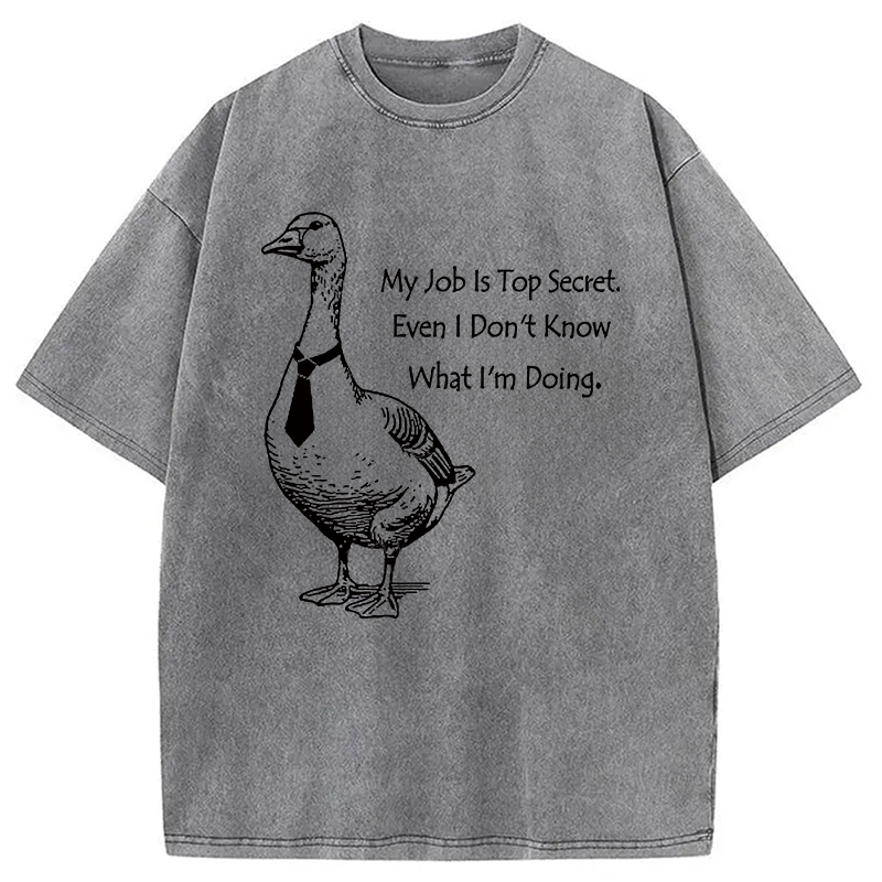 Modecanvas Serious Goose Funny Washed T-Shirt