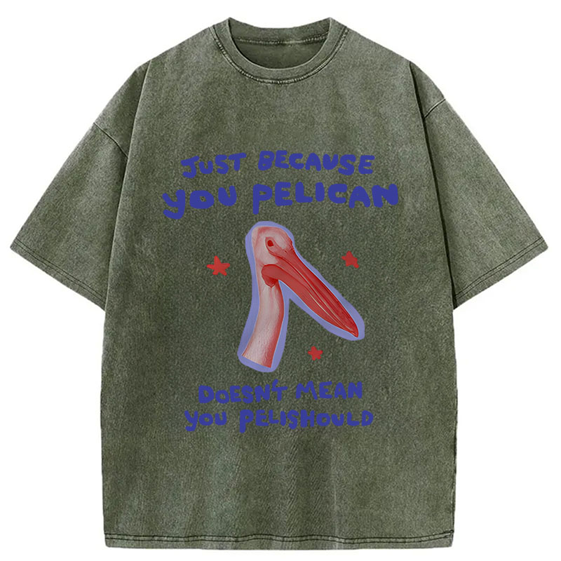 Modecanvas Just Because You Pelican DTG Printing Washed T-Shirt