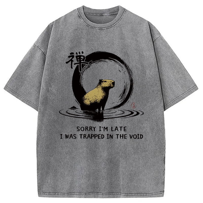 Modecanvas Zen Capybara Was Trapped In The Void Washed T-Shirt