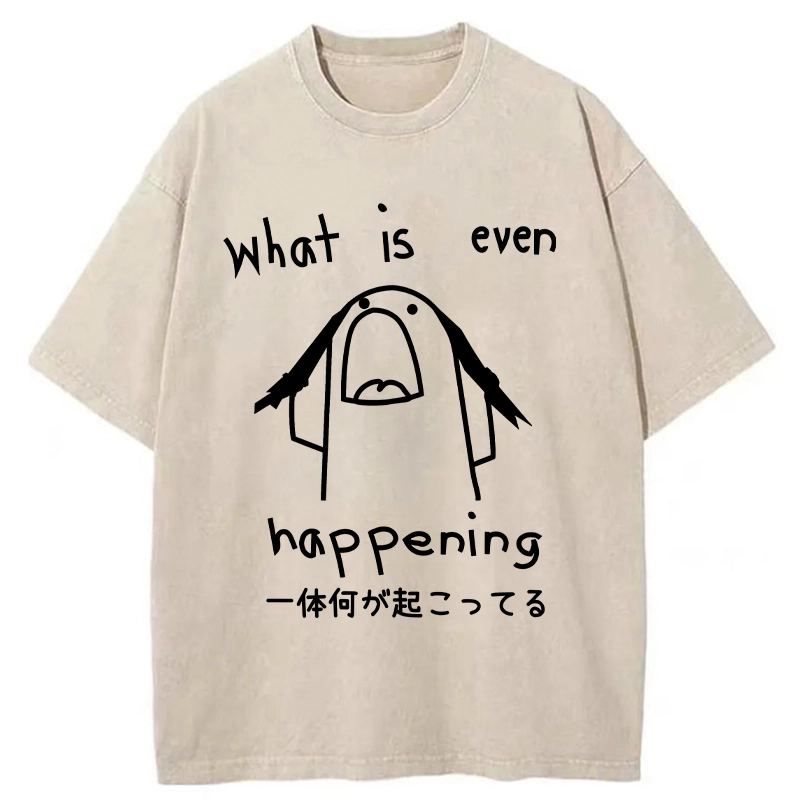 Modecanvas What Is Even Happening Washed T-Shirt-modecanvas