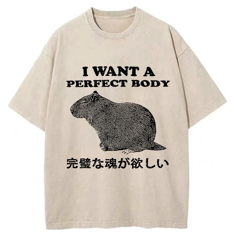 Modecanvas I Want A Perfect Body Washed T-Shirt