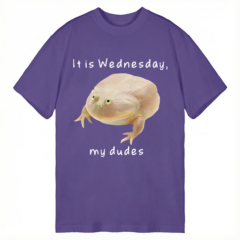Modecanvas It's Wednesday my dudes DTG Printing Classic T-Shirt-modecanvas
