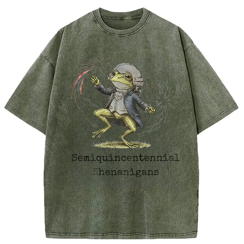 Modecanvas Funny Frog Semiquincentennial DTG Printing Washed T-Shirt