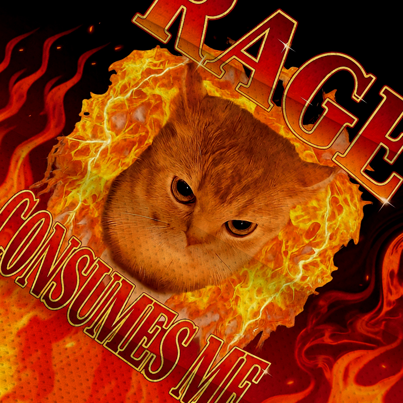 Modecanvas Rage Consumes Me Jersey Short