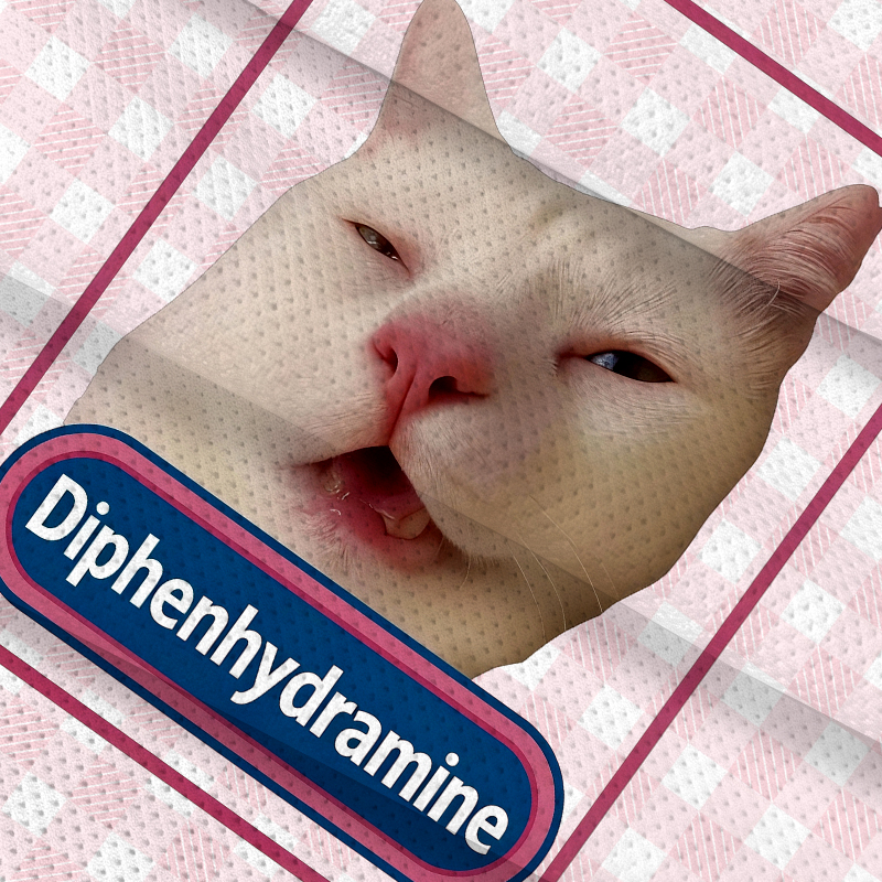 Modecanvas Funny Diphenhydramine Meme Cat Jersey Short