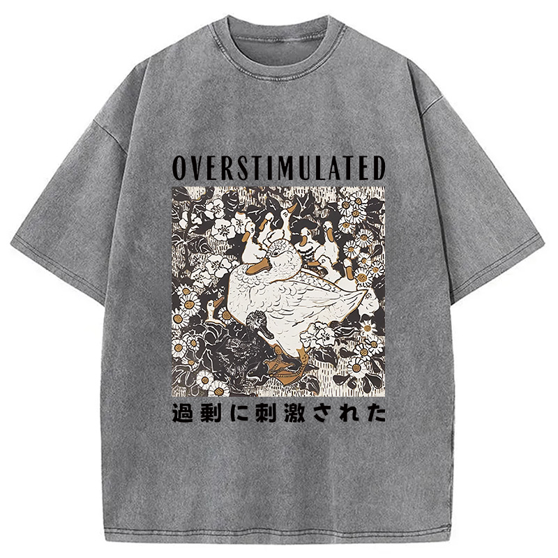 Modecanvas Overthinking Duck Washed T-Shirt