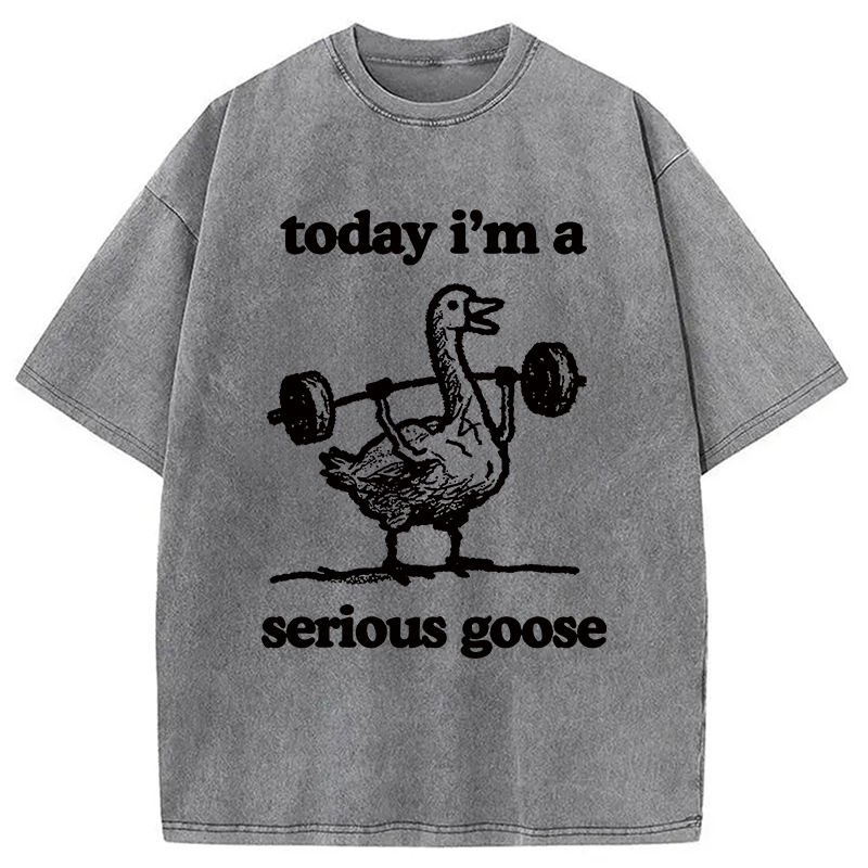 Modecanvas Fitness Goose Washed T-Shirt