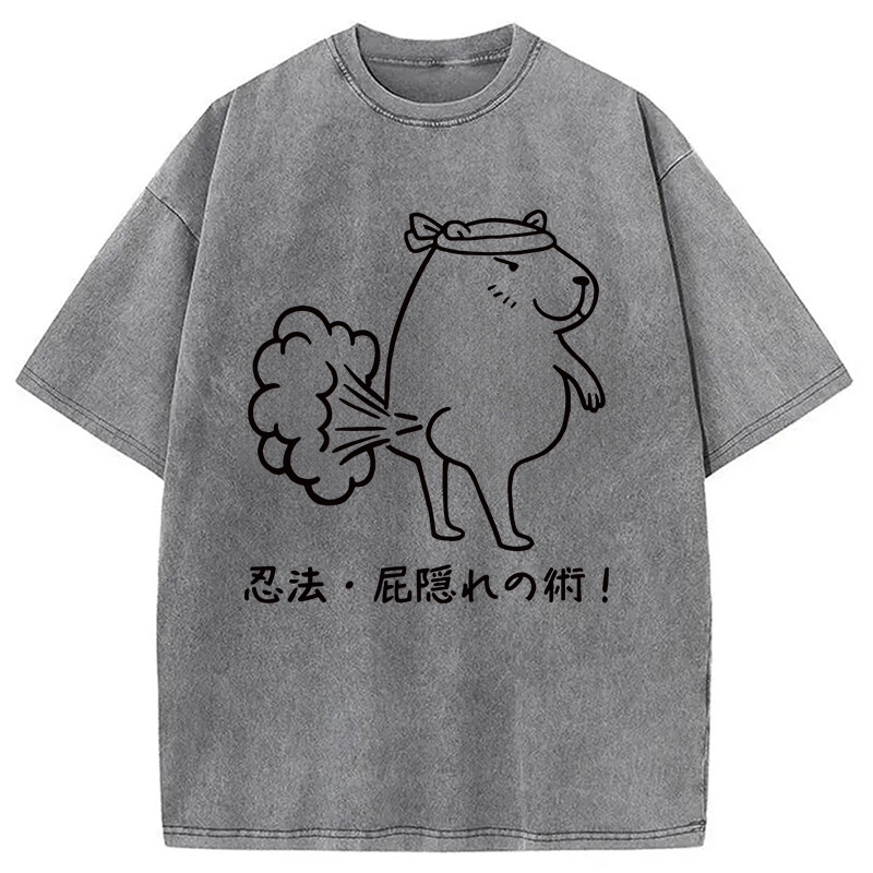 Modecanvas Funny Ninjutsu Fart Hiding Technique Washed T-Shirt