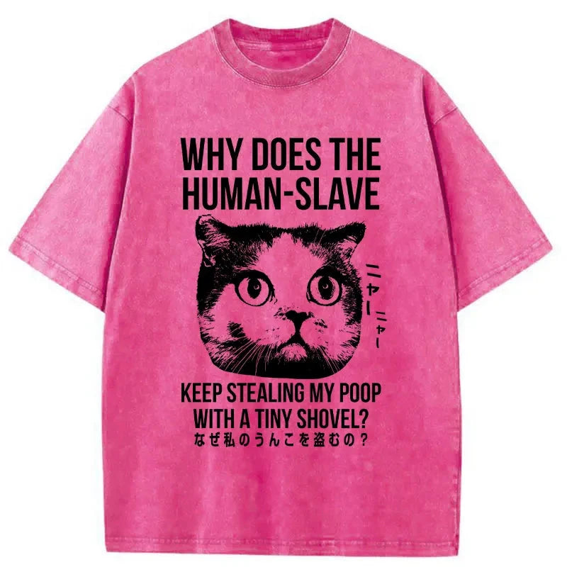 Modecanvas Cat Thinking About human Washed T-Shirt