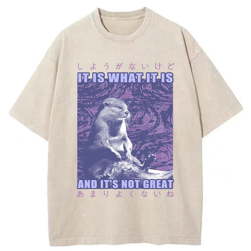 Modecanvas Frustrated Otter Japanese Washed T-Shirt
